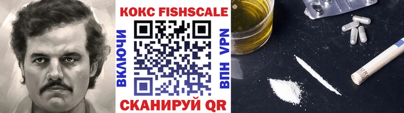 хочу наркоту  omg онион  Cocaine Fish Scale  Кулебаки 