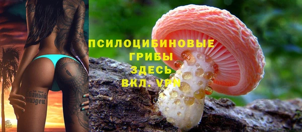 экстази Белокуриха