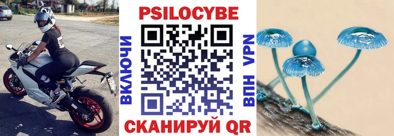 Псилоцибиновые грибы прущие грибы  Кулебаки 